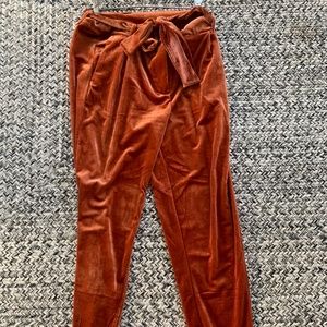 NWT burnt orange velvet pants